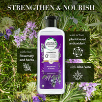 Herbal Essences bio:renew Rosemary and Herbs SHAMPOO, 400ml, No Parabens No Colorants