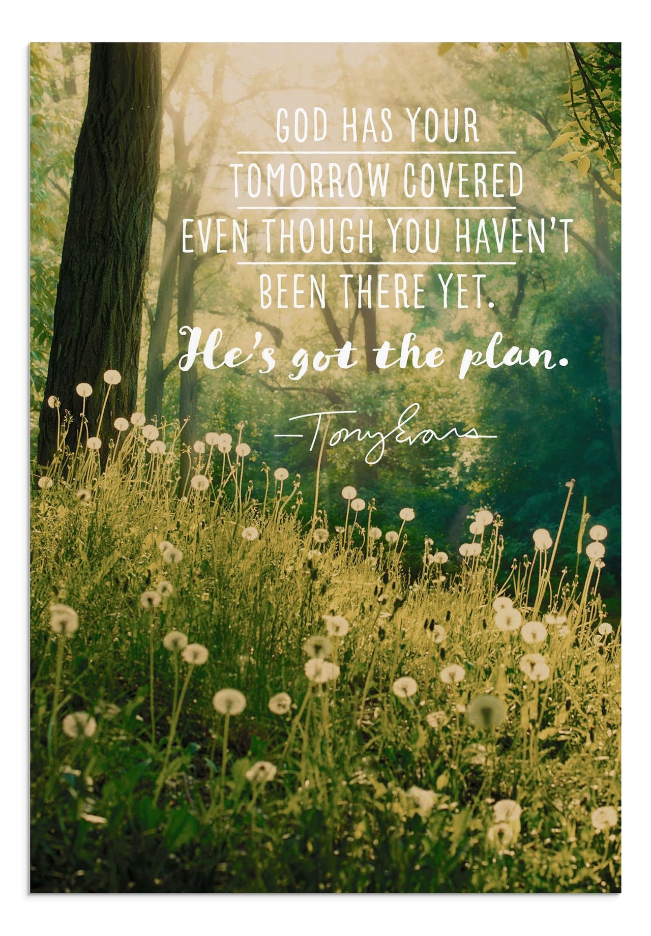 DaySpring - Tony Evans - You Were Made for a Purpose - 4 Design Assortment with Scripture - 12 Birthday Boxed Cards & Envelopes (18562)