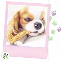 Nature Gnaws Tripe Twists for Dogs - Premium Natural Beef Sticks - Simple Single Ingredient Crunchy Dog Chew Treats - Rawhide Free 20 Count (Pack of 1)