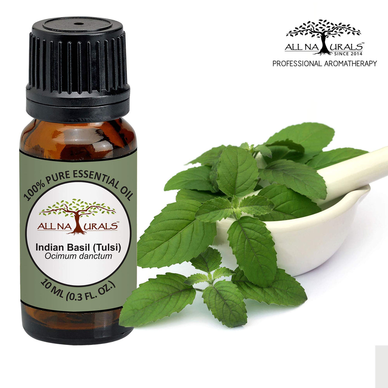 All Naturals - Tulsi Essential Oil (15 Ml)|Versatile Essential Oil For Home Fragrance|Pure & Natural|Tulsi Oil For Spirituality & Focus|Disinfection,Insect-Repellent,Anti-Fungal|Essential Oil For Skin