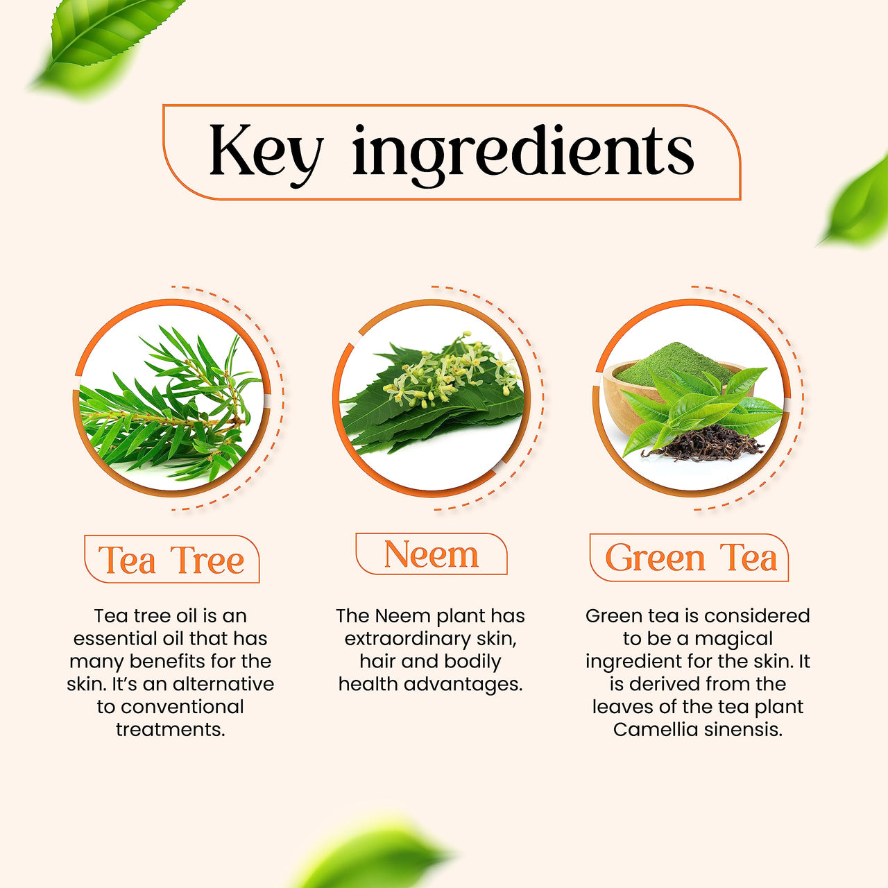 VCare Pimple Care Gel with Pimple Care Face Wash - 30g - 50g combo pack of 1