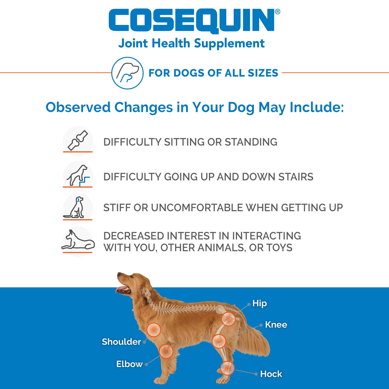 Cosequin Joint Health Supplement for Dogs - With Glucosamine, Chondroitin, MSM, and Omega-3's , 120 Soft Chews