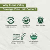 INDUS VALLEY Damage Free Natural Gel Hair Colour for Women | Ammonia & PPD Free Organic Hair Colour with 100% Grey Coverage, Long Lasting Hair Color Trial Pack (Black, 65 ml)