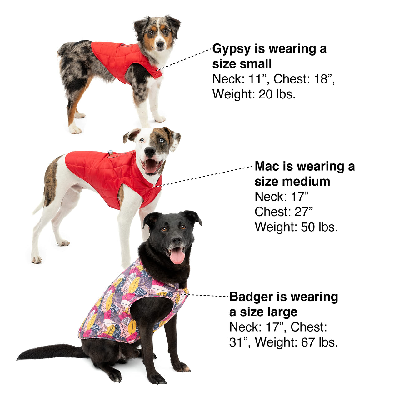 Kurgo Loft Dog Jacket, Reversible Dog Coat, Wear with Harness or Sweater, Water Resistant, Reflective, Winter Coat For Large Dogs (Fall Festival, L) Fall Festival