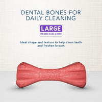 Blue Buffalo Dental Bones Large Natural Dental Chew Dog Treats, (50 lbs and up) 27-oz Bag Value Pack Large Bones 27 Ounce (Pack of 1)