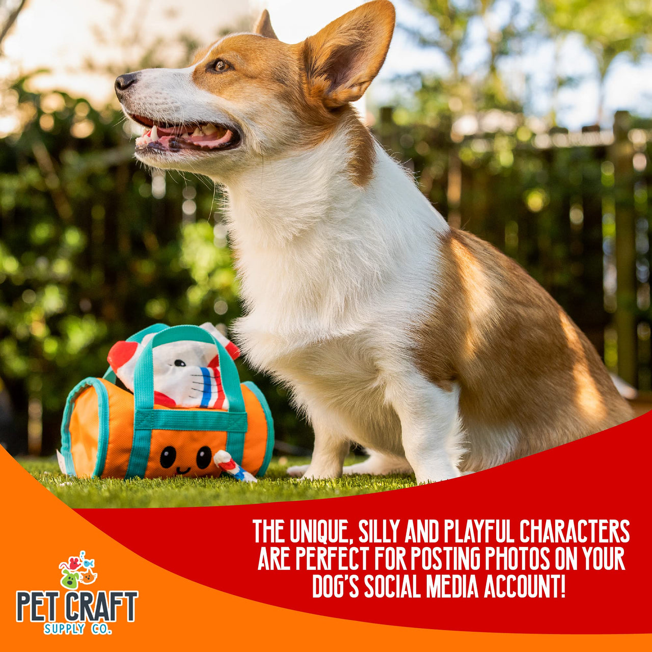 Pet Craft Supply Hide&Seek Plush Dog Toys Crinkle Squeaky Interactive Burrow Activity Puzzle Chew Fetch Treat Hiding Brain Stimulating Cute Funny Toy Bundle Pk for Small&Medium Dogs Puppies,4Piece Set Shredder Gym Bag