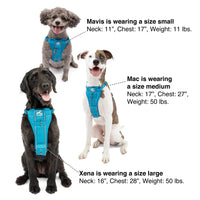 Kurgo Dog Harness | Pet Walking Harness | No Pull Harness Front Clip Feature for Training Included | Car Seat Belt | Tru-Fit Quick Release Style | Small | Blue