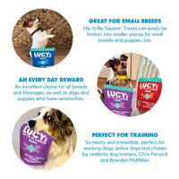 Lucy Pet Hip To Be Square Duck And Pumpkin Dog Treats 6Oz 6 Ounce (Pack of 1)