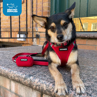 Voyager Step-in Air All Weather Mesh Harness and Reflective Dog 5 ft Leash Combo with Neoprene Handle, for Small, Medium and Large Breed Puppies by Best Pet Supplies - Red/Black Trim, Large Harness Leash Bundle (Red/Black Trim) L (Chest: 18 - 20.5