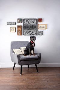 Primitives by Kathy Rustic Wooden Decor Sign - 'All you need is love...and dog' - Office/Farmhouse Decor, Dog Lovers Gift, 5