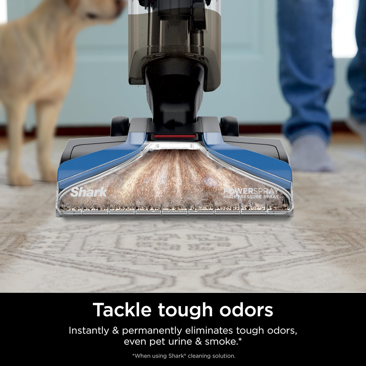 Shark EX201 CarpetXpert Upright Carpet, Area Rug & Upholstery Cleaner with StainStriker, Built-in Spot & Stain Cleaner, Perfect for Pets, Deep Cleaning & Tough Stain Removal, Carpet Shampooer, Cyan Shark CarpetXpert with StainStriker