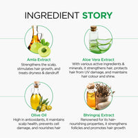 Oshea Herbals Amlacare Hairfall Control Shampoo for Men & Women | Strengthens Hair, Reduces Hairfall & Dandruff | Enriched with Aloe Vera & Amla Extracts - 300 ml (Pack of 2)