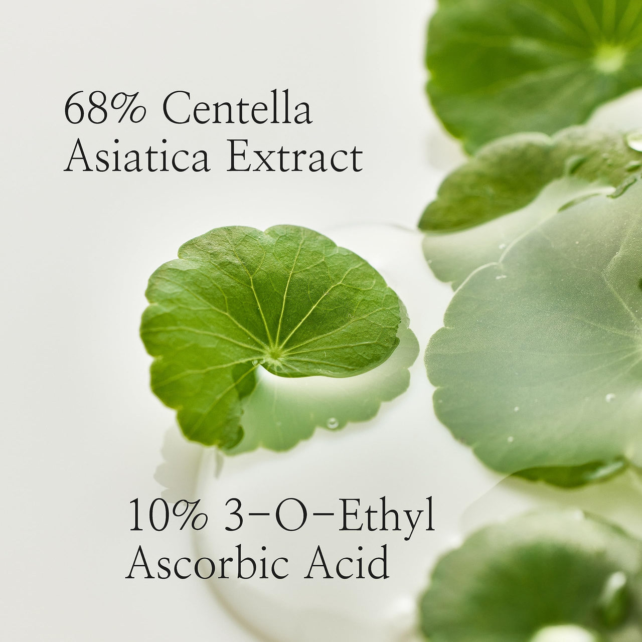 Beauty of Joseon Light On Serum Centella + Vita C