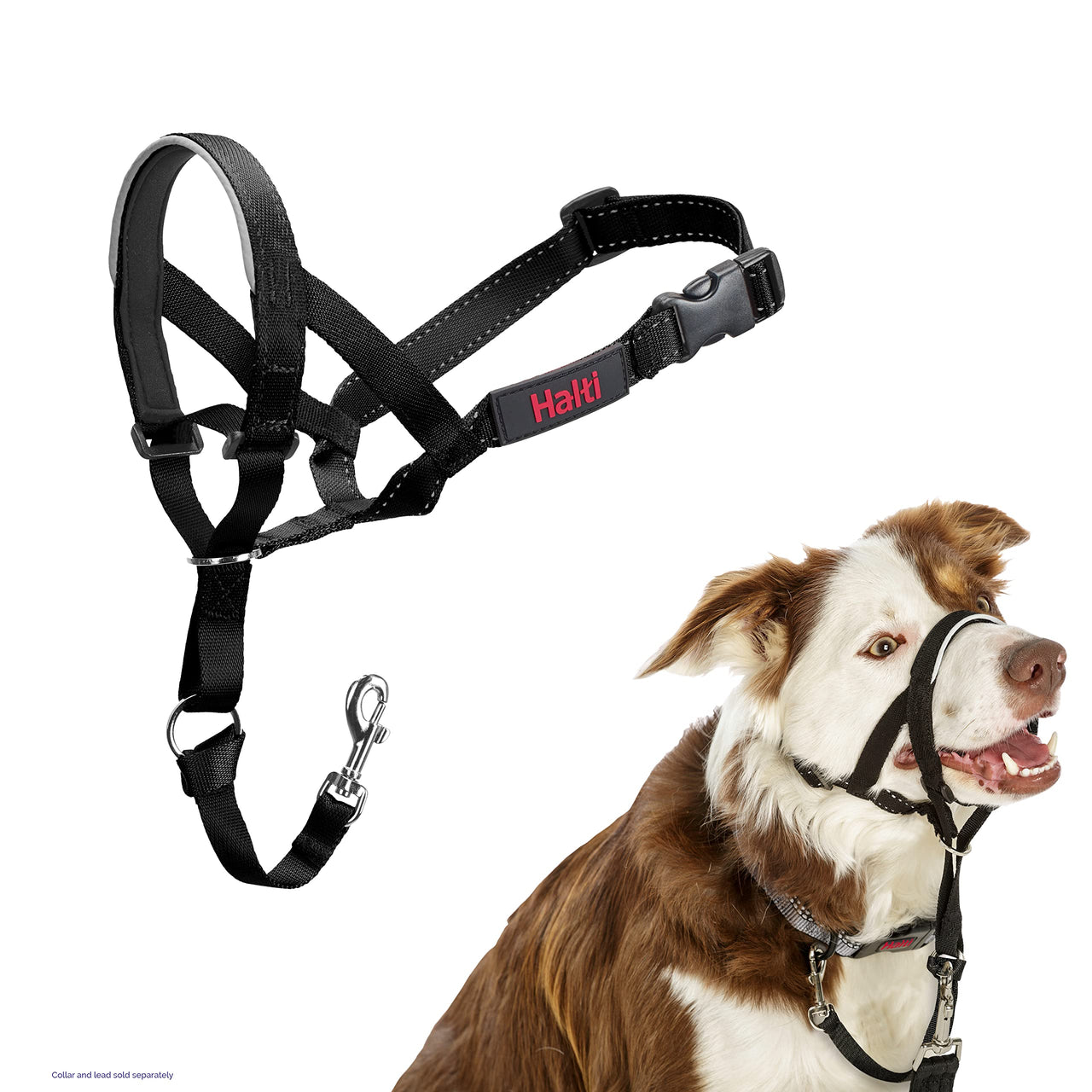 HALTI Headcollar - To Stop Your Dog Pulling on the Leash. Adjustable, Reflective and Lightweight, with Padded Nose Band. Dog Training Anti-Pull Collar for Medium Dogs (Size 2, Black)