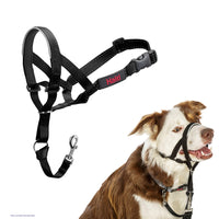 HALTI Headcollar - To Stop Your Dog Pulling on the Leash. Adjustable, Reflective and Lightweight, with Padded Nose Band. Dog Training Anti-Pull Collar for Medium Dogs (Size 2, Black)