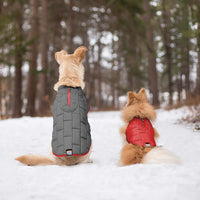 Kurgo Loft Dog Jacket, Reversible Dog Coat, Wear with Harness or Sweater, Water Resistant, Reflective, Winter Coat For Small Dogs (Chili Red, S) Chili Red/Charcoal