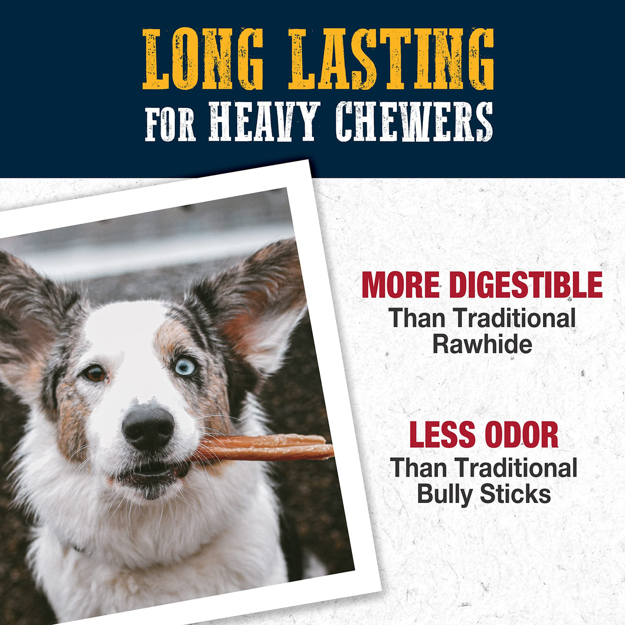 Cadet Bully Hide Sticks for Small, Medium and Large Dogs – All-Natural Beef Pizzle, High Protein, Low Fat, Long-Lasting, Grain & Rawhide-Free Dog Chews for Aggressive Chewers, Small (9 Count) Small (9 Pack)