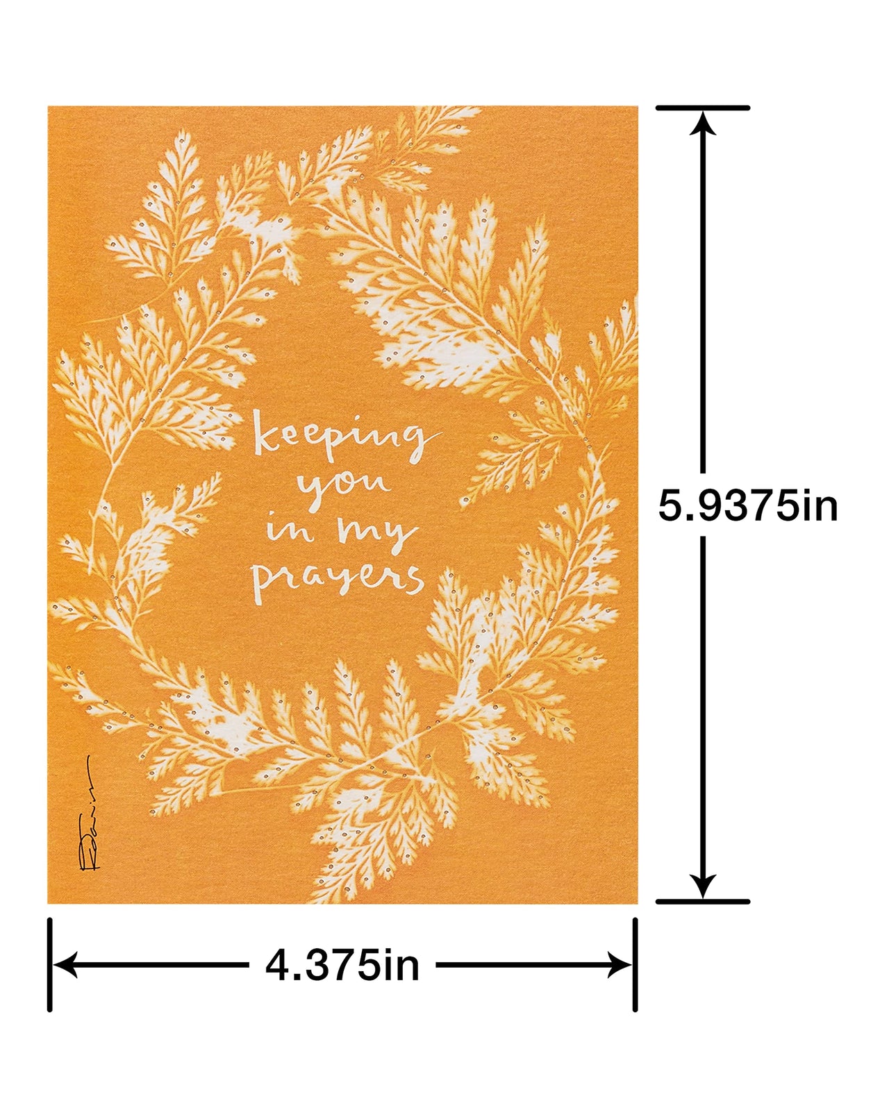 American Greetings Deluxe Boxed Sympathy, Thinking of You, and Blank Cards with Envelopes, Kathy Davis Designs (32-Count)