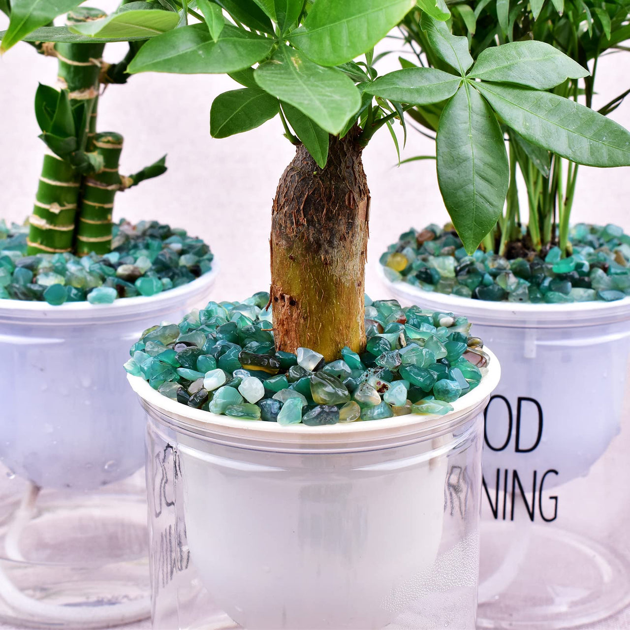 SigMntun Green Agate Crystal Chips Bulk, Natural UNDYED - 10 oz (283g) Tumbled Stones for Crafts Decorative Rocks Planters, Healing Crystals Reiki Chakra Meditation Energy Balancing Therapy 10 Oz - Green Agate