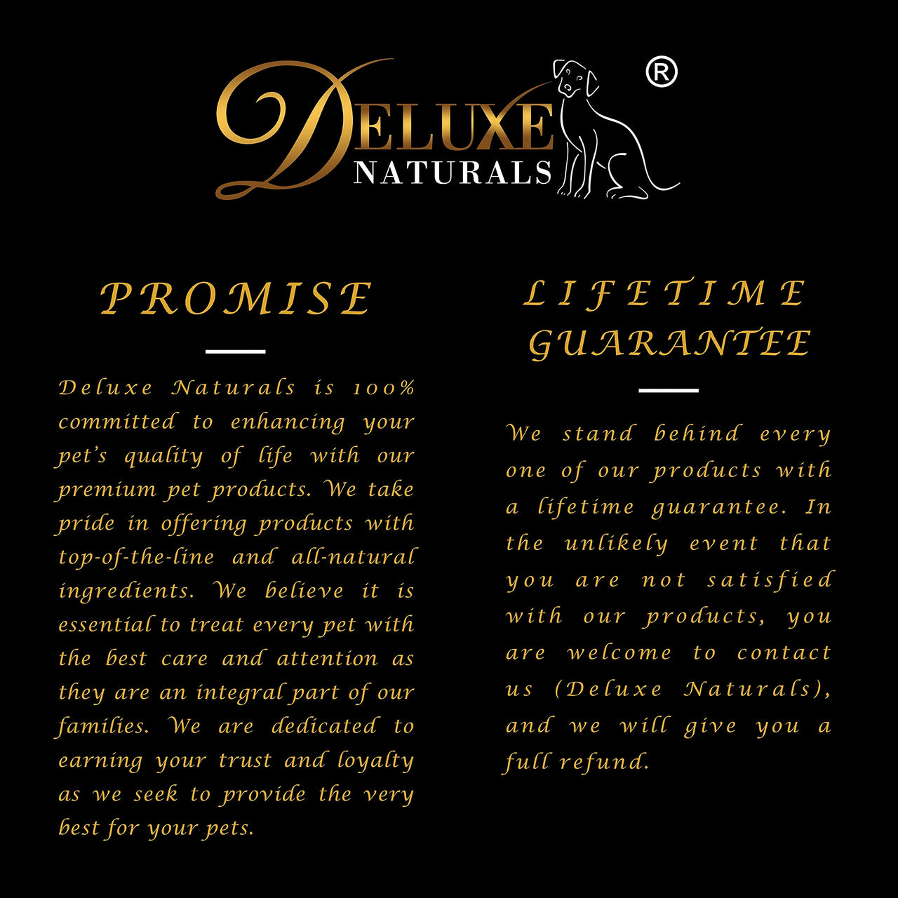 Elk Antler Chews for Dogs | Naturally Shed USA Collected Elk Antlers | All Natural A-Grade Premium Elk Antler Dog Chews | Product of USA, 5-Pack Small Split 5 Count (Pack of 1)