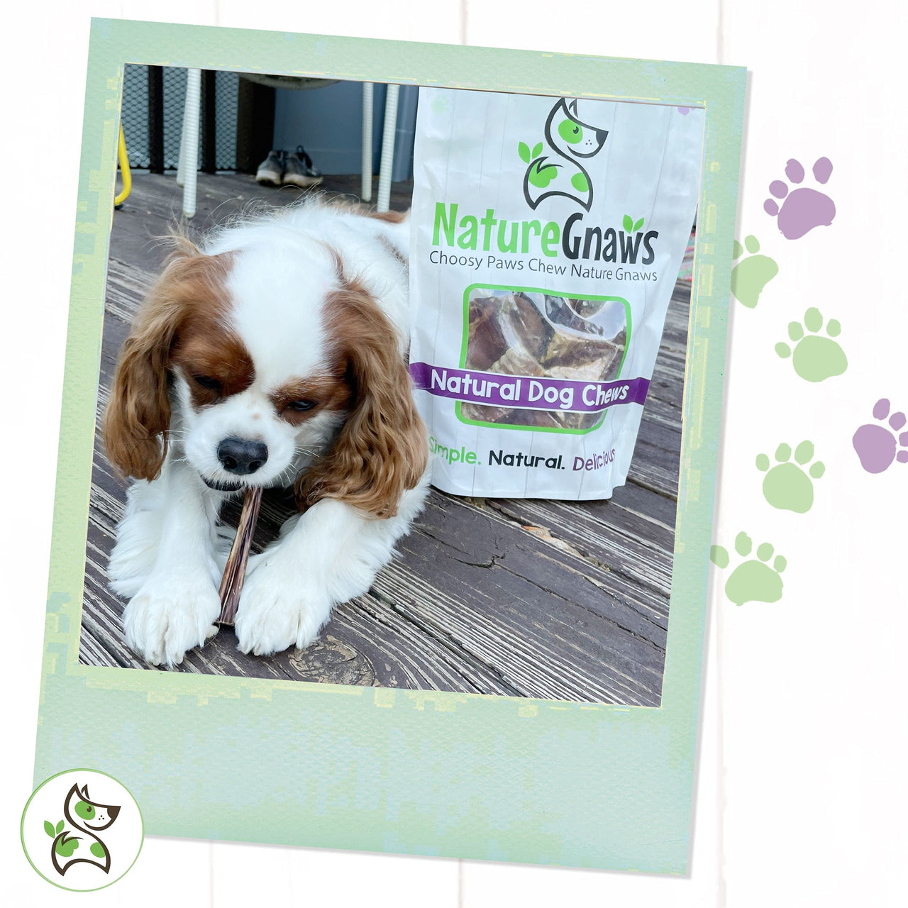 Nature Gnaws Small Bully Sticks for Dogs - Premium Natural Beef Dental Bones - Long Lasting Dog Chew Treats for Small Dogs & Puppies - Rawhide Free