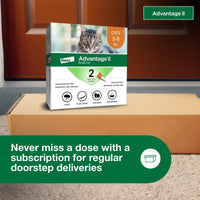 Advantage II Small Cat Vet-Recommended Flea Treatment & Prevention | Cats 5-9 lbs. | 2-Month Supply 2 Pack Small Cat only