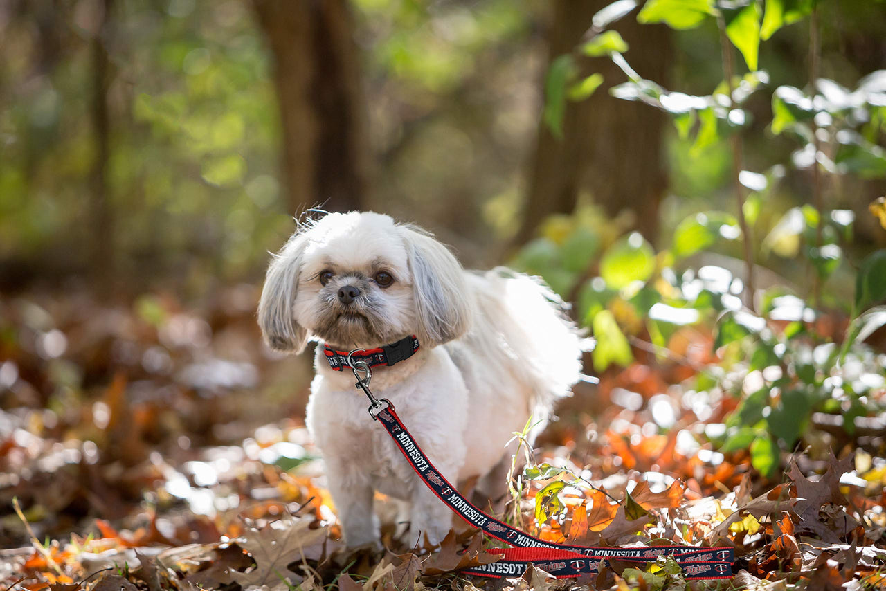 MLB PET Leash, Large, Minnesota Twins Dog Leash, Baseball Team Leash for Dogs & Cats. A Shiny & Colorful Dog & Cat Leash with Emboridered Team Name/Logo Licensed by the MLB