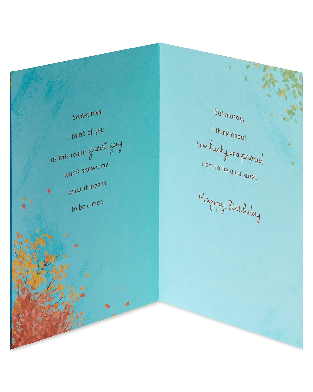 American Greetings Birthday Card for Dad from Son (Fishing Boat) Fishing Boat