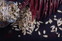 Berries And Nuts Raw Sunflower Seed, 1Kg