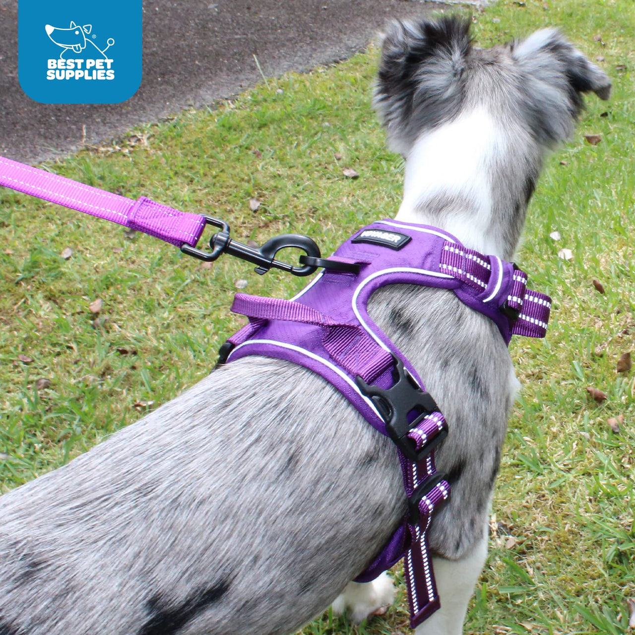 Voyager Dog Harness Dual Leash Attachment No-Pull Control Adjustable Soft but Strong Pet Harness for Medium and Large Dogs with 3M Reflective Technology - Harness Leash Set (Purple Lattice), M M (Chest: 20 - 25") Harness Leash Set (Purple Nylon)