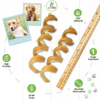 Nature Gnaws Bully Stick Springs for Dogs - Premium Natural Beef Dental Bones - Long Lasting Curly Dog Chew Treats for Aggressive Chewers - Rawhide Free 6 Count (Pack of 1)