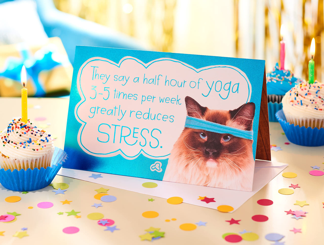 American Greetings Funny Birthday Card for Her (So Does Ice Cream)