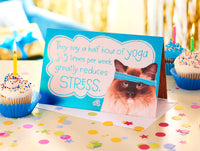 American Greetings Funny Birthday Card for Her (So Does Ice Cream)