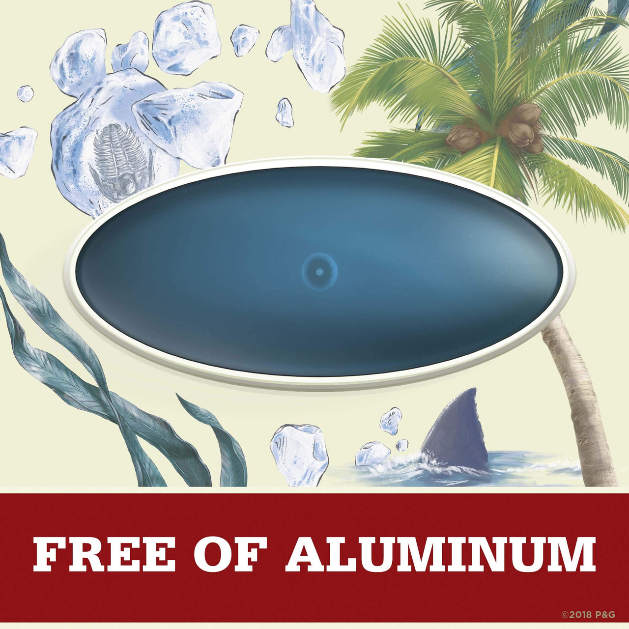 Old Spice Deodorant for Men Deep Sea with Ocean Elements Scent Inspired by Nature 3 oz