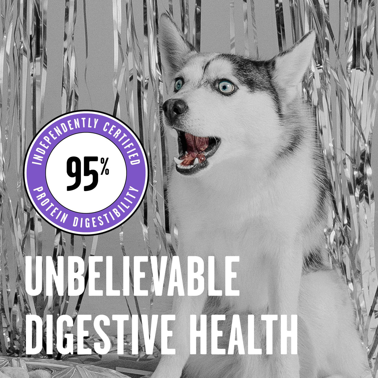 BIXBI Rawbble Freeze Dried Dog Food, Lamb Recipe, 26 oz - 97% Meat and Organs, No Fillers - Pantry-Friendly Raw Dog Food for Meal, Treat or Food Topper - USA Made in Small Batches 26 Ounce (Pack of 1)