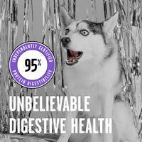 BIXBI Rawbble Freeze Dried Dog Food, Lamb Recipe, 12 oz - 97% Meat and Organs, No Fillers - Pantry-Friendly Raw Dog Food for Meal, Treat or Food Topper - USA Made in Small Batches 12 Ounce (Pack of 1)