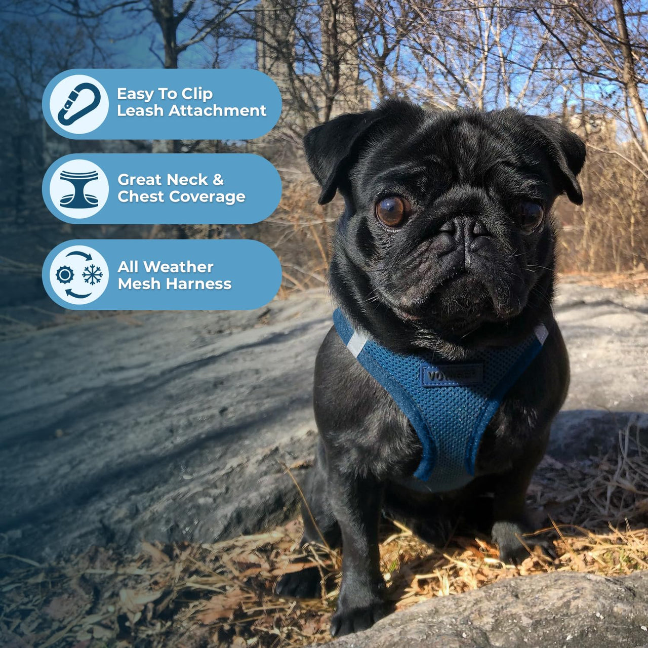 Voyager Step-in Air Dog Harness - All Weather Mesh Step in Vest Harness for Small and Medium Dogs and Cats by Best Pet Supplies - Harness (Blue), XS (Chest: 13-14.5") Harness (Blue) XS (Chest: 13 - 14.5")