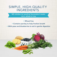 Blue Buffalo Dental Bones Large Natural Dental Chew Dog Treats, (50 lbs and up) 27-oz Bag Value Pack Large Bones 27 Ounce (Pack of 1)