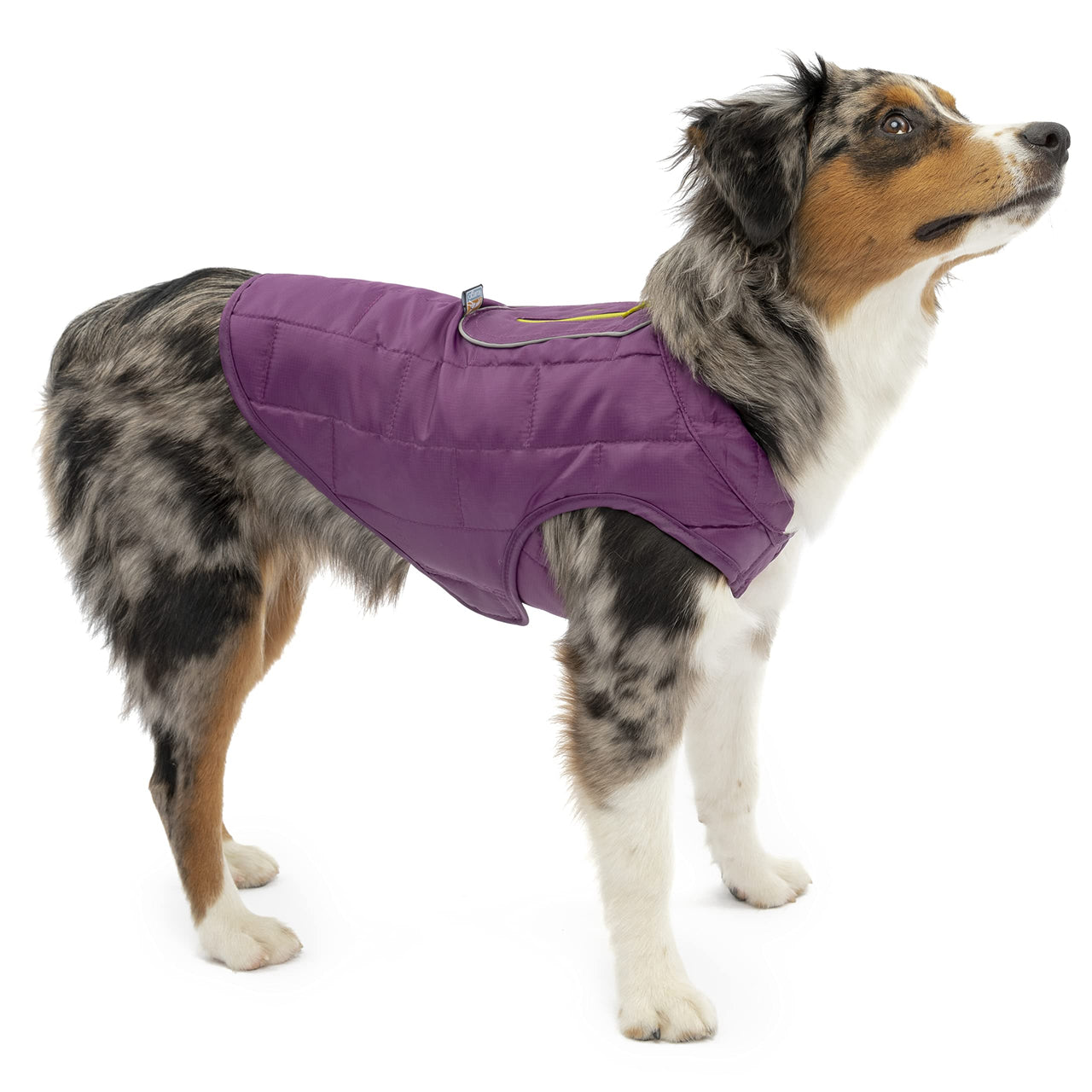 Kurgo Loft Dog Jacket, Reversible Dog Coat, Wear with Harness or Sweater, Water Resistant, Reflective, Winter Coat For Small Dogs (Deep Violet, XS) Extra Small Deep Violet/Charcoal