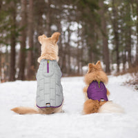 Kurgo Loft Dog Jacket, Reversible Dog Coat, Wear with Harness or Sweater, Water Resistant, Reflective, Winter Coat For Small Dogs (Deep Violet, XS) Extra Small Deep Violet/Charcoal
