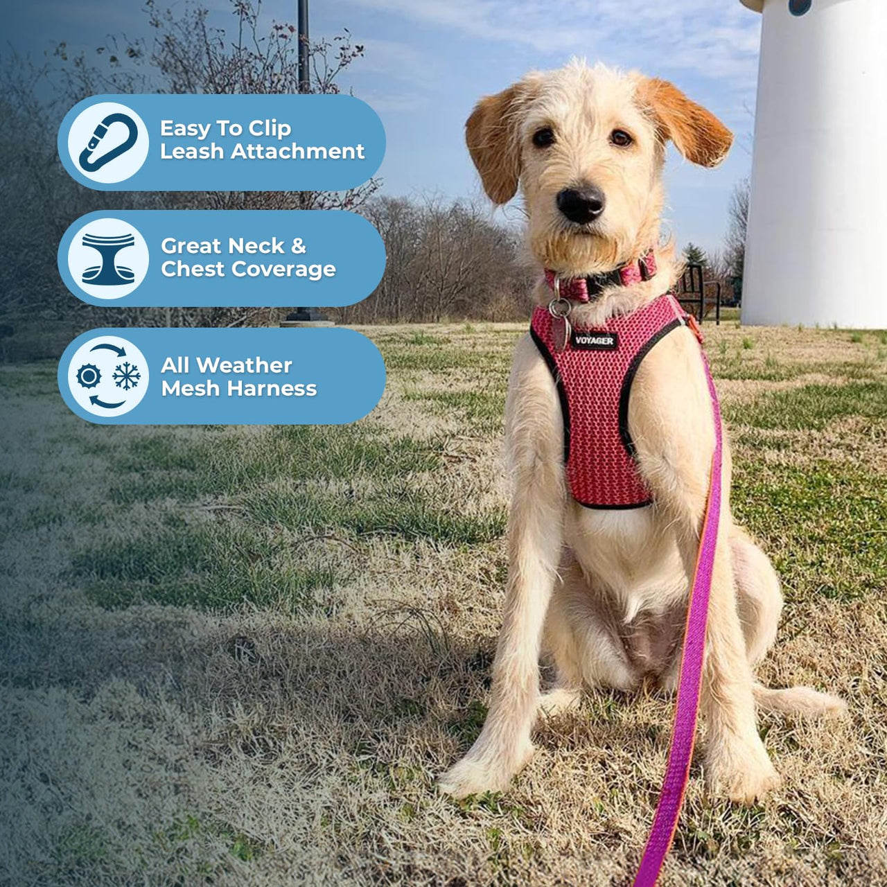 Voyager Step-in Air Dog Harness - All Weather Mesh Step in Vest Harness for Small and Medium Dogs and Cats by Best Pet Supplies - Harness (Fuchsia 2-Tone), XS (Chest: 13-14.5") Harness (Fuchsia 2-Tone) XS (Chest: 13 - 14.5")