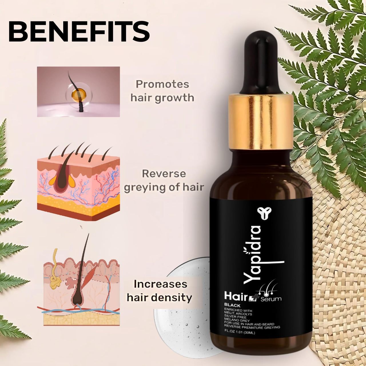 Yapidra Anti-Gray Hair & Beard Serum | Helps Reduce Graying | With Arcolys, Biotin | Lightweight, Non-Sticky & Fragrance-Free | Suitable for Men & Women | 30 ML