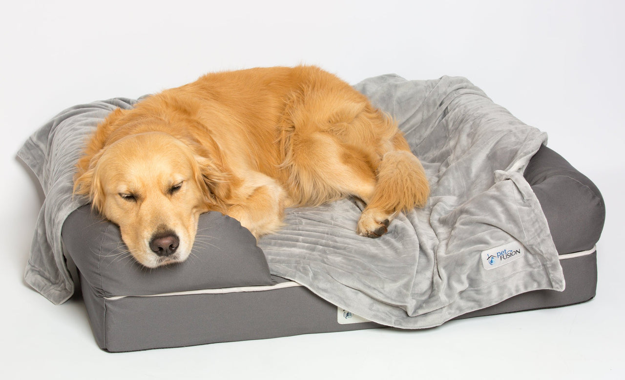 PetFusion Premium Dog Blanket, Cat Blanket | Ultra Soft Pet Blanket Available in Plush or Quilted, 2 Colors (Grey, Brown) | Perfect Blanket for Small Dogs & Large Dogs. 12 Month Warranty X-Large (60 x 48") Gray
