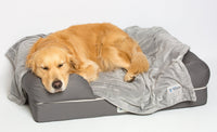 PetFusion Premium Dog Blanket, Cat Blanket | Ultra Soft Pet Blanket Available in Plush or Quilted, 2 Colors (Grey, Brown) | Perfect Blanket for Small Dogs & Large Dogs. 12 Month Warranty X-Large (60 x 48
