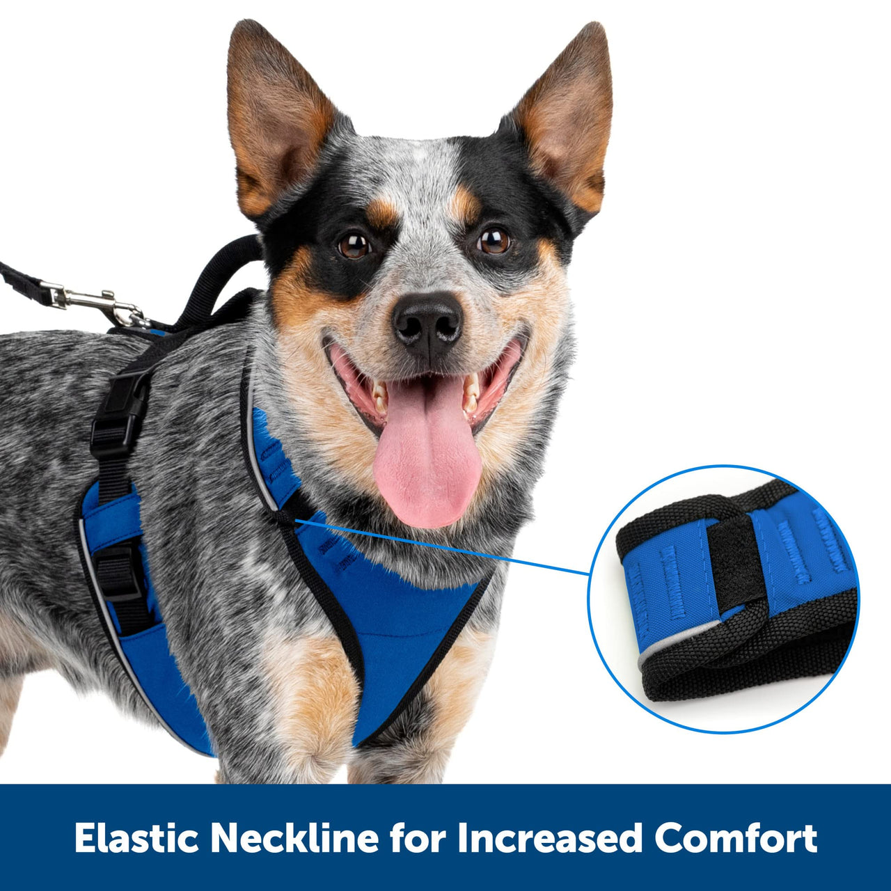 PetSafe EasySport Dog Harness - Padded, Adjustable Dog Harness with Control Handle and Reflective Piping - Great for Active Dogs - from The Makers of The Easy Walk Harness - Medium, Charcoal Charcoal Grey