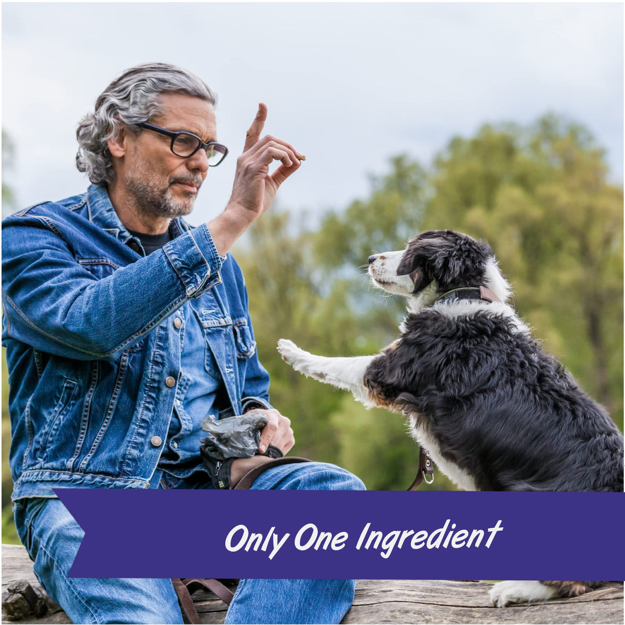 Pet Botanics 16 oz. Pouch Training Reward Freeze Dried, Beef Liver Flavor, with 825 Treats Per Bag, The Choice of Top Trainers 1 Pound (Pack of 1)