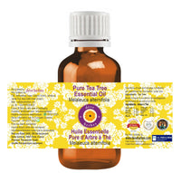 Deve Herbes Tea Tree Essential Oil (Melaleuca alternifolia) Pure | Non-Sticky | Non-greasy | Lightweight | Men & Women | All Skin Types | Steam Distilled 10ml