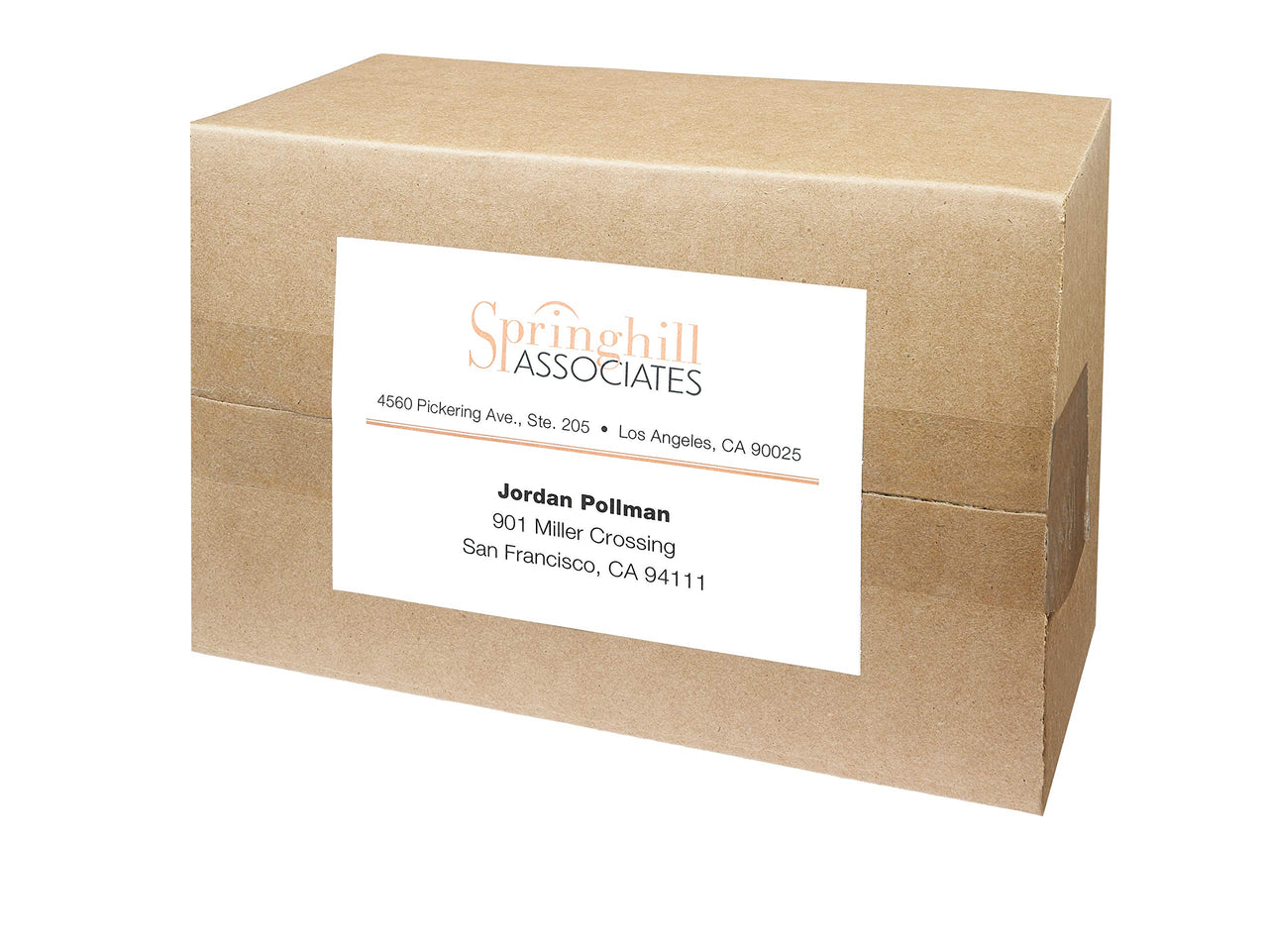 Avery Printable Shipping Labels, 4" x 6", White, 20 Blank Address Labels (05292) (Pack of 2) 1 Count (Pack of 2)