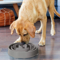 Outward Hound Fun Feeder Slo Bowl, Slow Feeder Dog Bowl, Large/Regular, Grey
