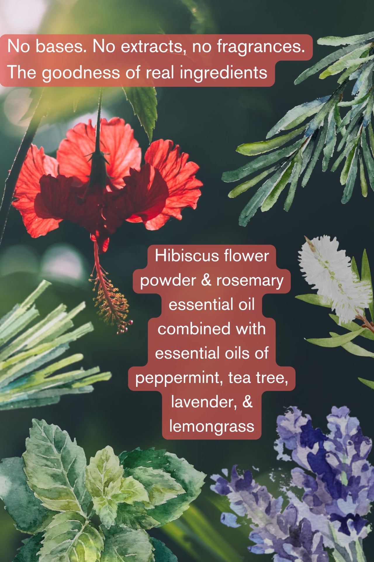 The Nature Mill Hibiscus Rosemary Hair Serum Oil. For stronger hair. 100ml (Coconut Peppermint)